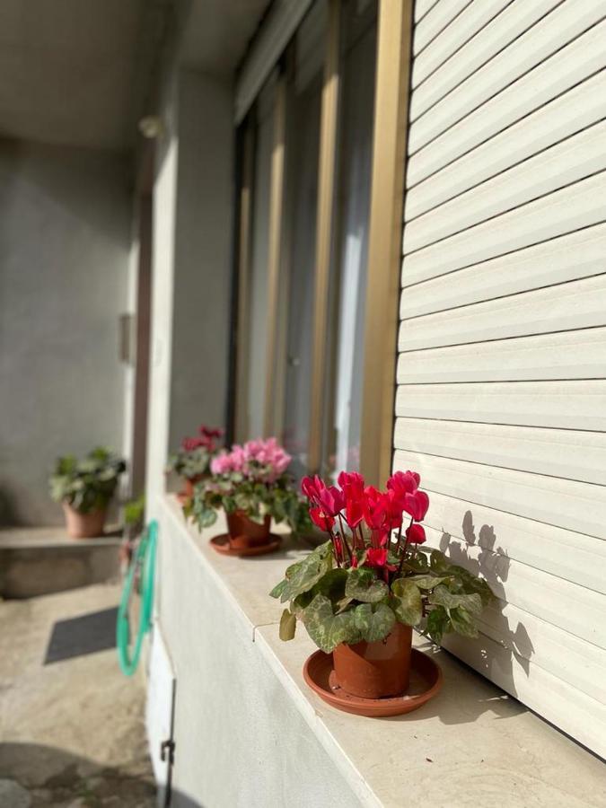 Domuspes Apartment Sedilo Luaran gambar